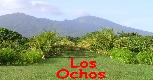 Finca Los Ochos<br>